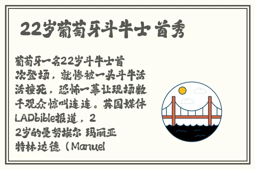 成色好的s31标准版